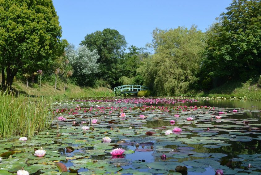 Bennetts Water Gardens , , United Kingdom
